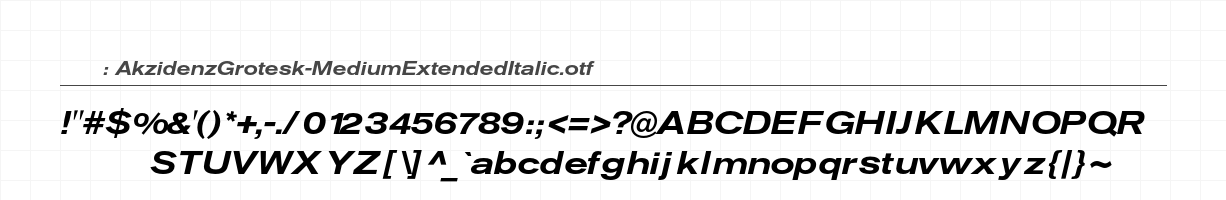AkzidenzGrotesk-MediumExtendedItalic 字符集预览