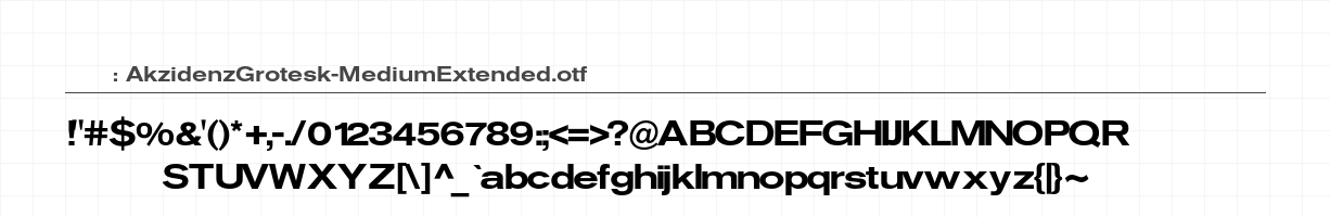 AkzidenzGrotesk-MediumExtended 字符集预览