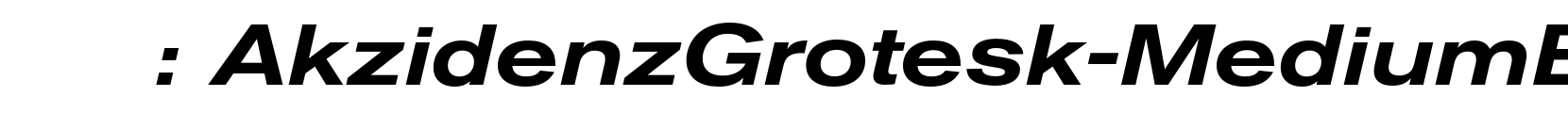 AkzidenzGrotesk-MediumExtendedItalic - 英文字体字体