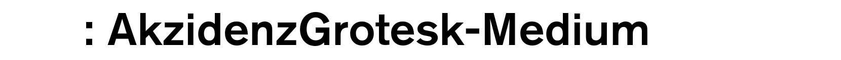 AkzidenzGrotesk-Medium - 英文字体字体